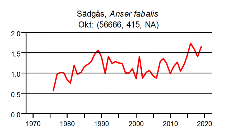 Sädgås index 1975–2020
