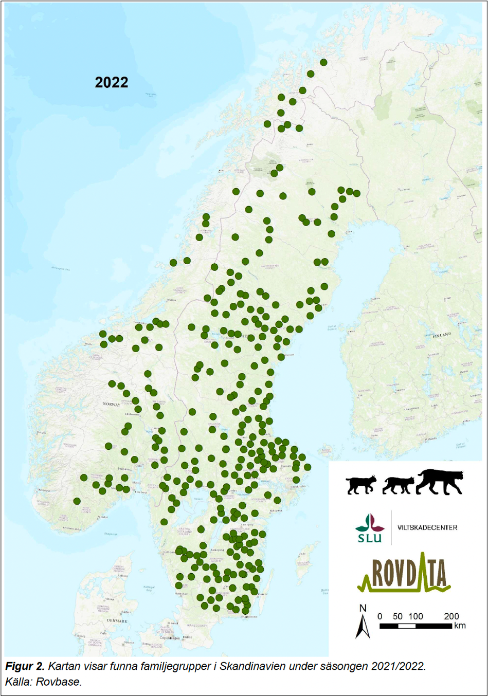 Familjegrupper lodjur 2021-2022