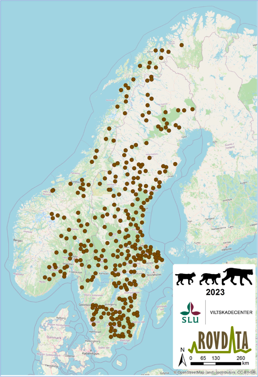 Familjegrupper av lodjur i Skandinavien 2023, karta