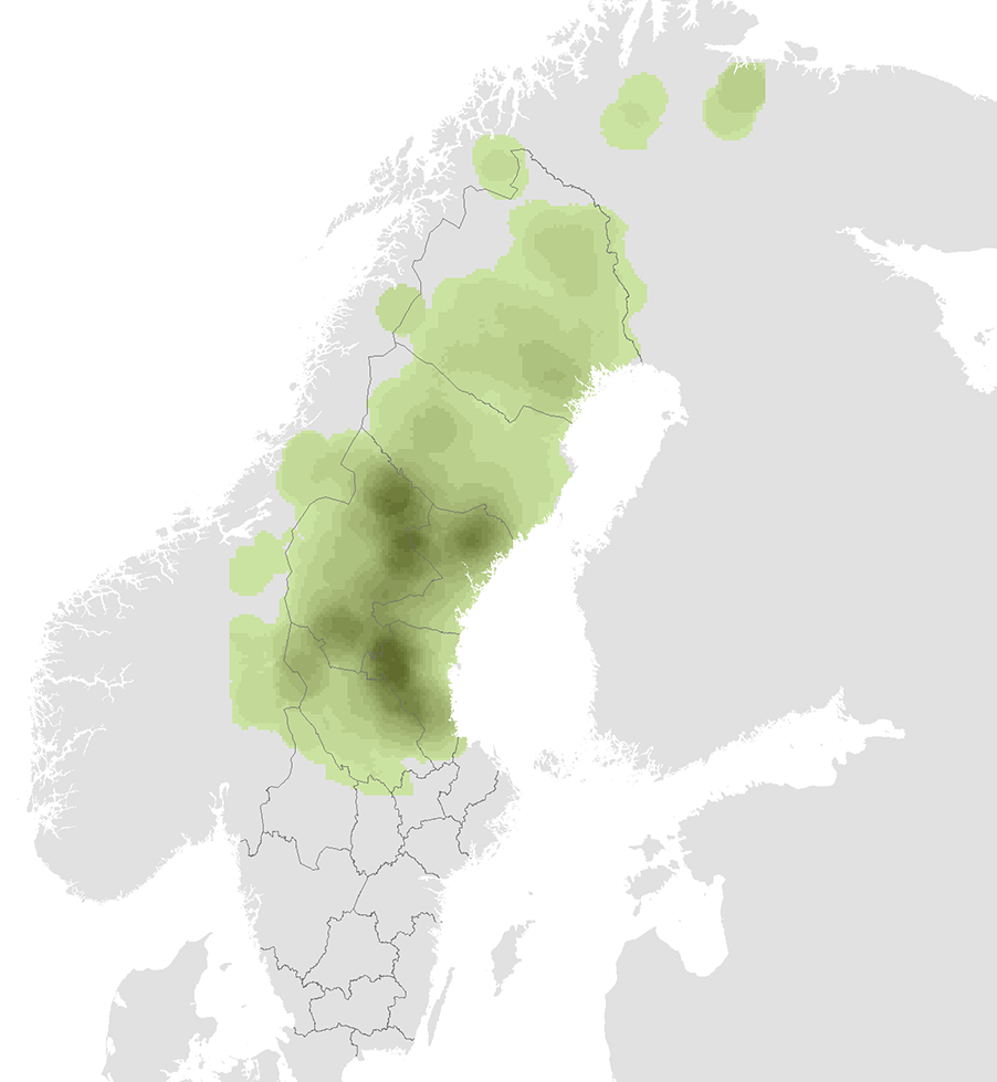 Björn utbredning i Skandinavien