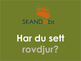 skandobs länkknapp