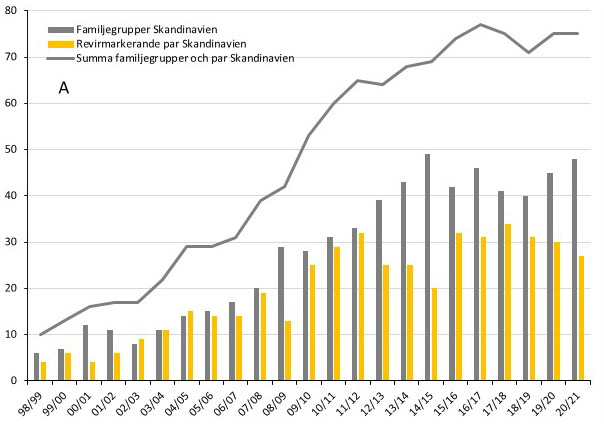 VARG-diagram-familjegrupper-och-par-1999–2021