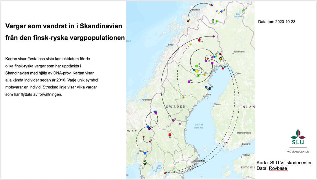 Vargimmigranter i Sverige 2010–2023