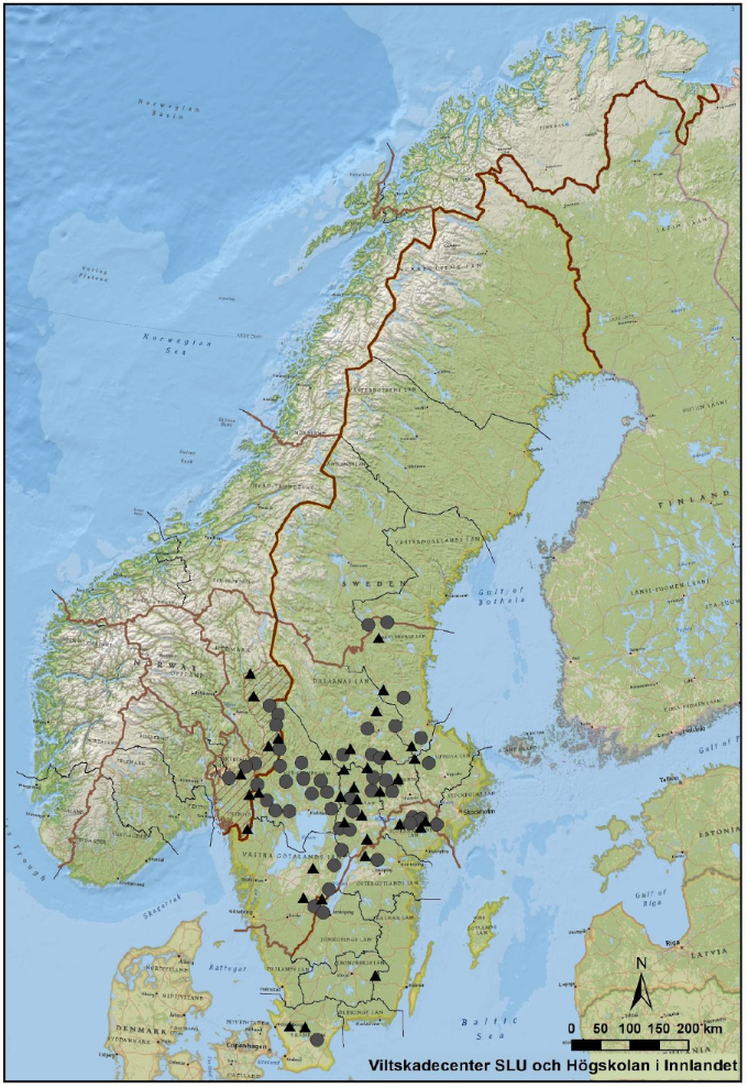 Vargrevir-skandinavien-2022-2023-karta
