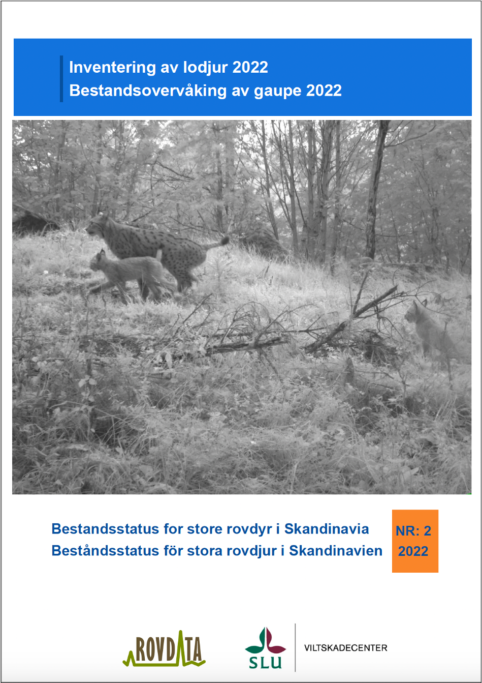 Inventering av lodjur i Skandinavien 2021-2022, rapport