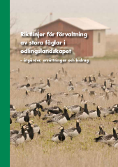 Framsida Riktlinjer för förvaltning av stora fåglar i odlingslandskapet 