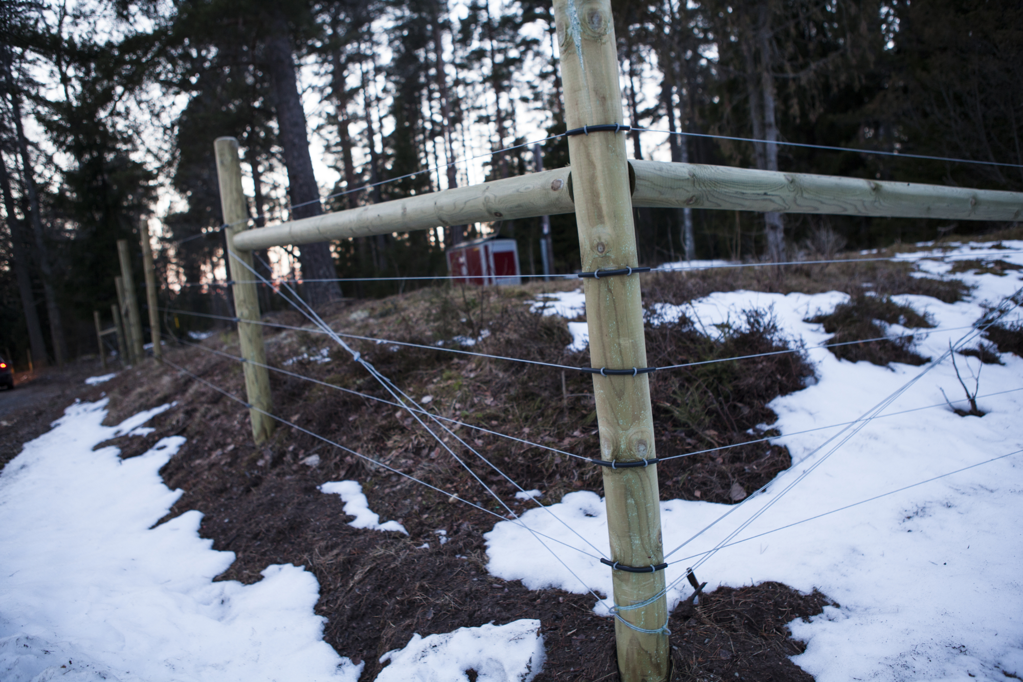 Rovdjursavvisande stängsel parallellogramhörn