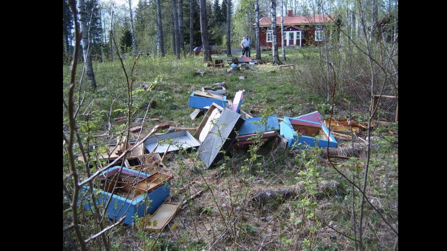 Björnskadade bikupor