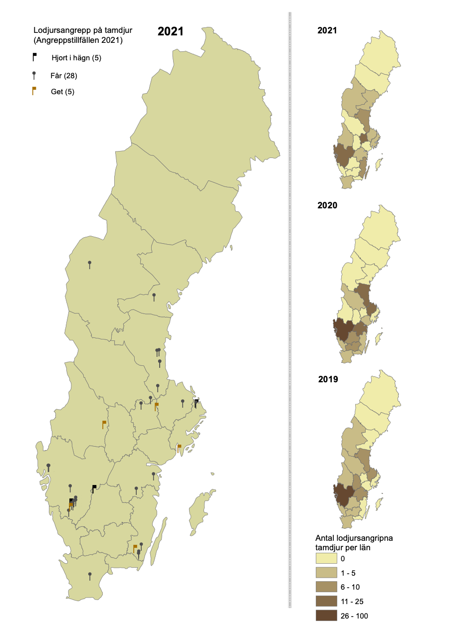 Lodjursangrepp på tamdjur 2021, karta