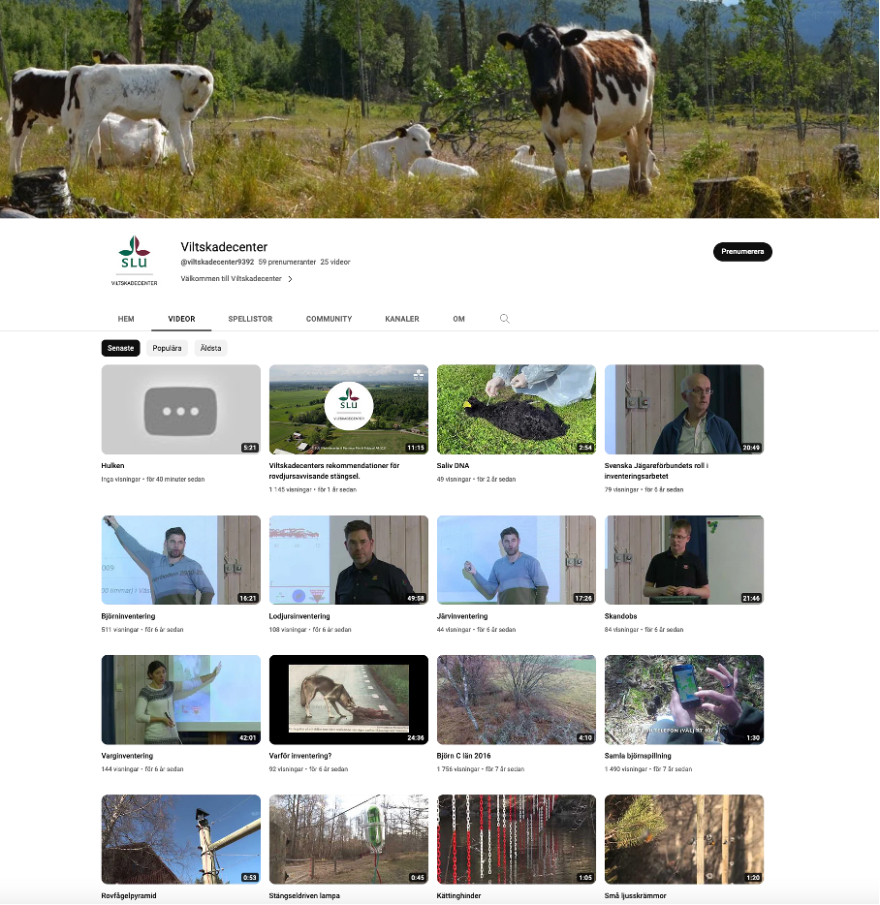 VSC-youtube-bild