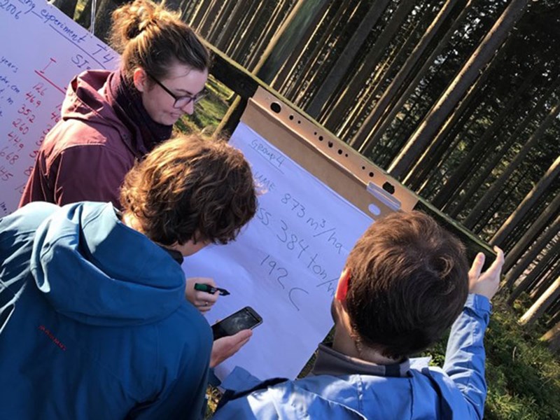 Forest management and silviculture