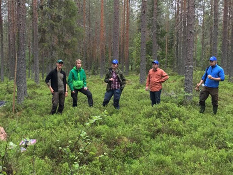 forest planning