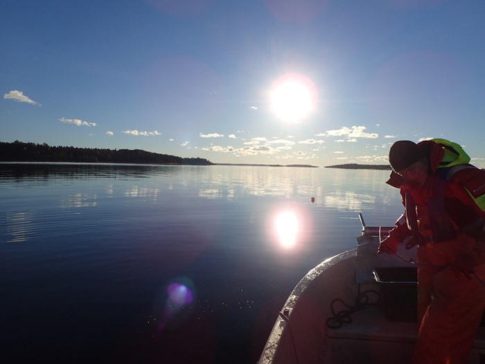 En kvinna arbetar i en båt. Foto.