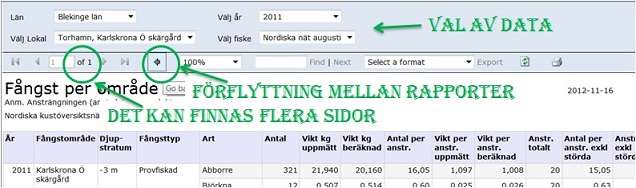 Rapportuttag, de tre viktigaste sakerna att veta