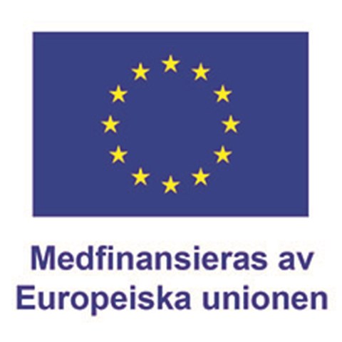 Medfinansiering från EHFVF