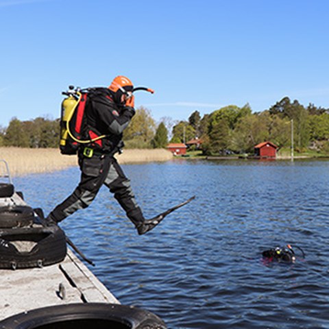 A scuba diver takes a leap into the water. Photo. 