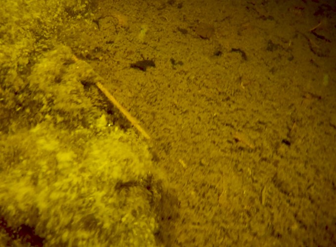 Lake sediment with stones. Photo.