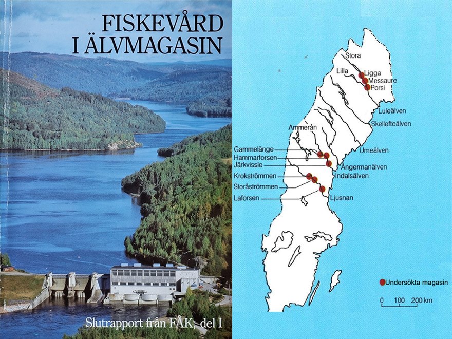 kollage med bokframsida och karta