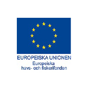 Logga för EU-projekt