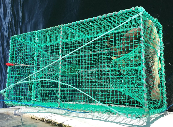 Cage hung from boat side