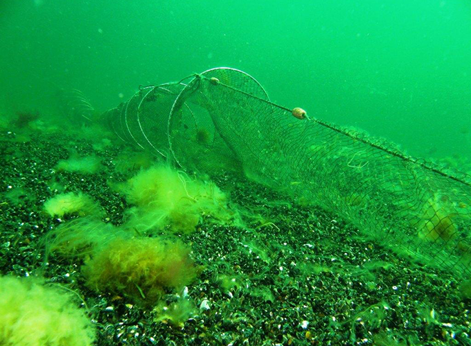 Fyke net on rocky sea bed