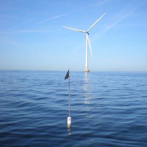 Wind turbine and calm sea surface in sunshine