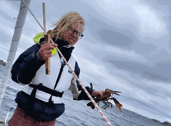 en person håller en hummer i handen