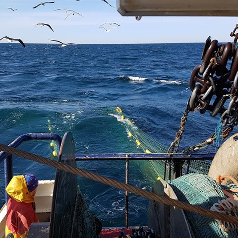 Trål i aktern av fiskebåt