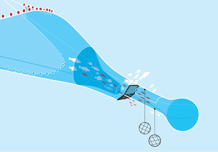 Illustration av trål