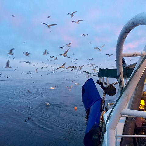 Fishing boat
