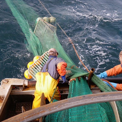 Fiskare arbetar i aktern på båt