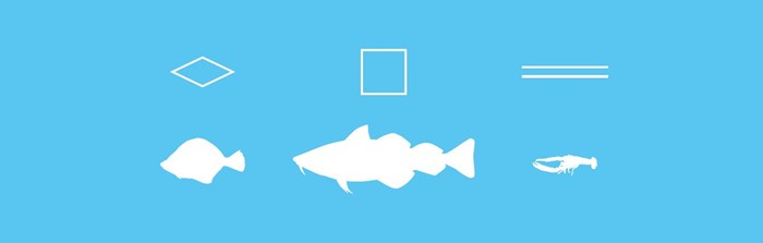 Illustration of different fish species