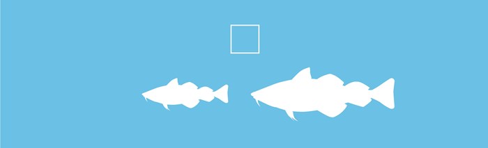 Illustration of fish
