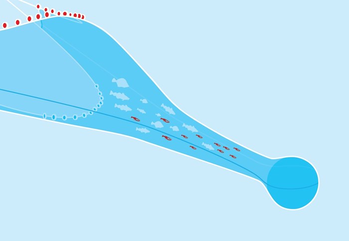 Illustration of traditional trawl