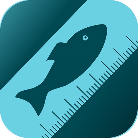 Fish on measuring board