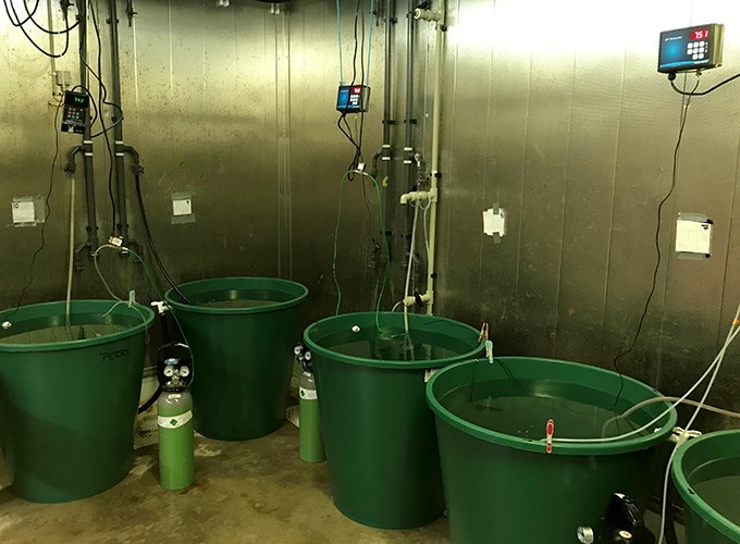 Experiment setup