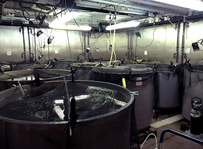 Room with experimental tanks