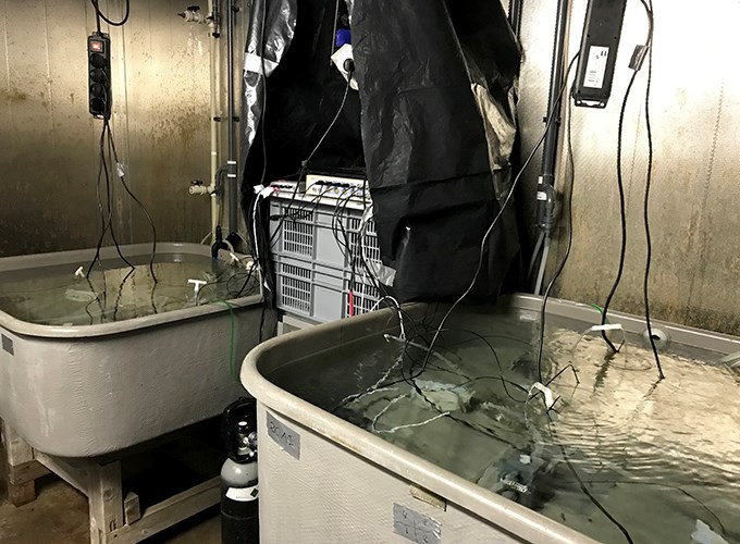 Tank with cables
