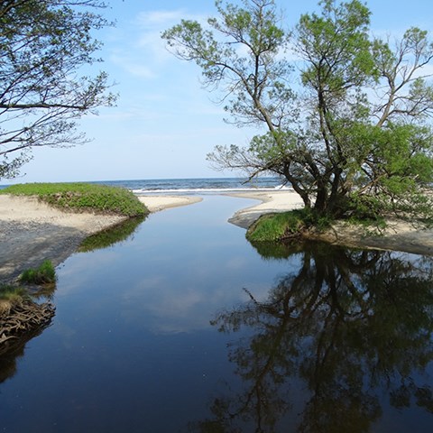 Smal å som rinner ut i havet 