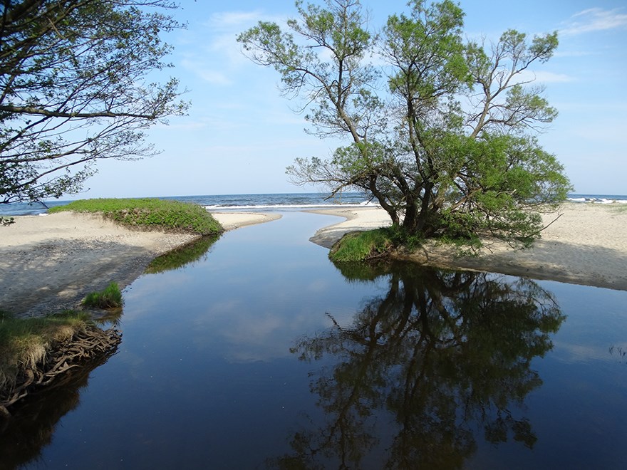 Stream meating the ocean. Photo.