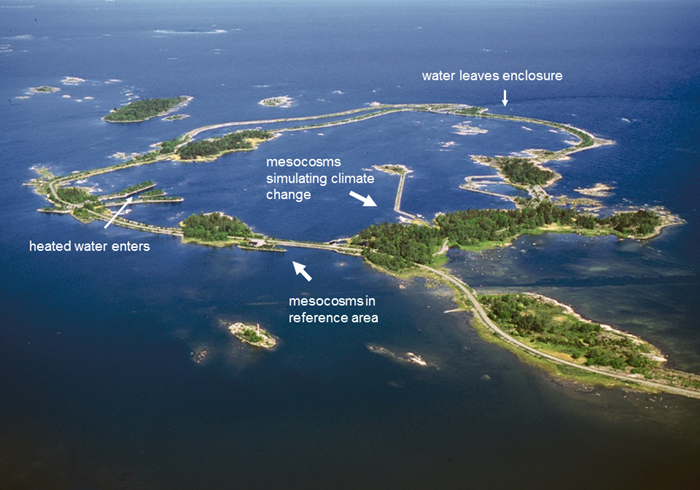 Biotest basin from above