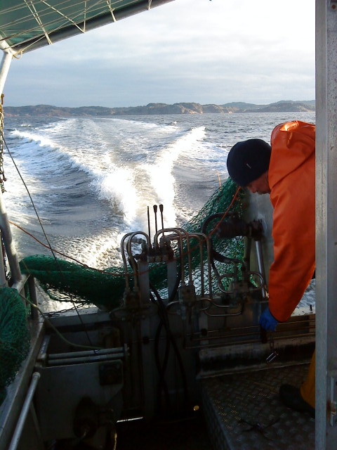 Man på båt ute på havet. Foto.