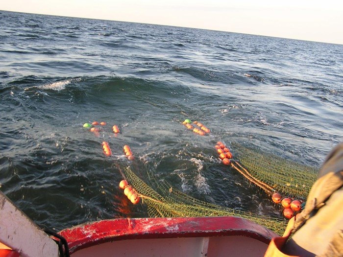 En trål dras upp ur havet. Foto.