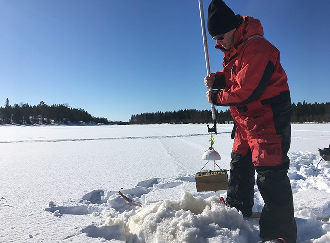 Man i tjock vinteroverall lyfter mätinstrument ur hål i isen