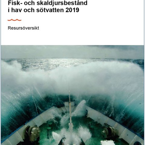 Framsida av rapporten som visar fören på ett fartyg i hög sjö.