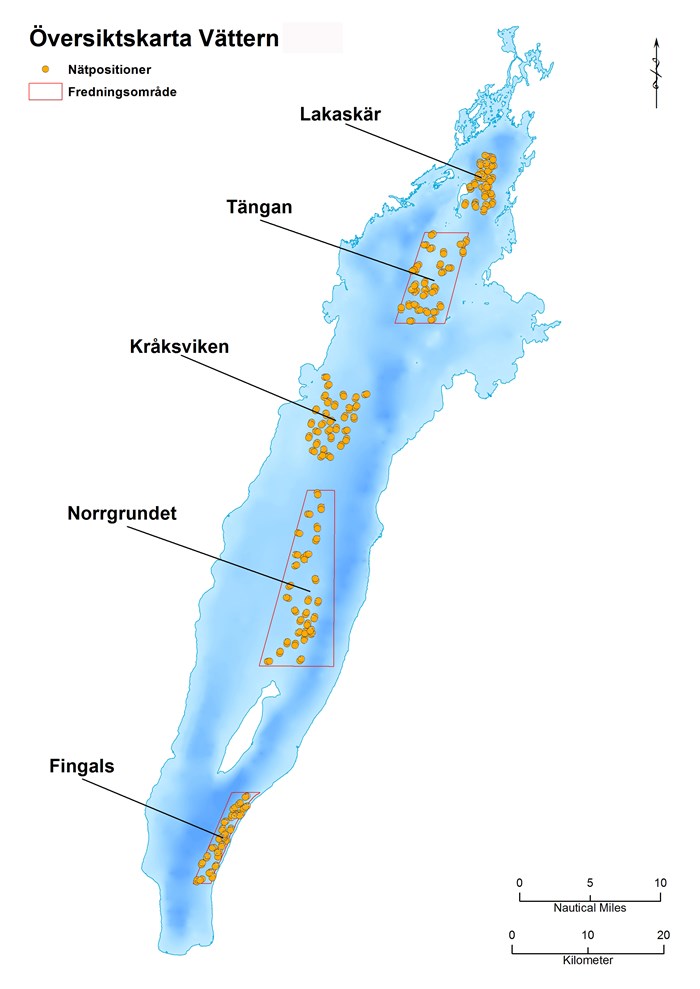Karta