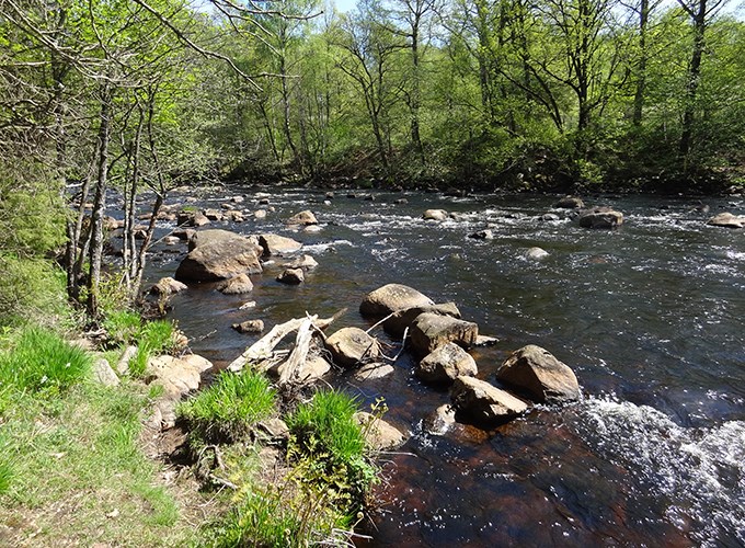 Forsande å