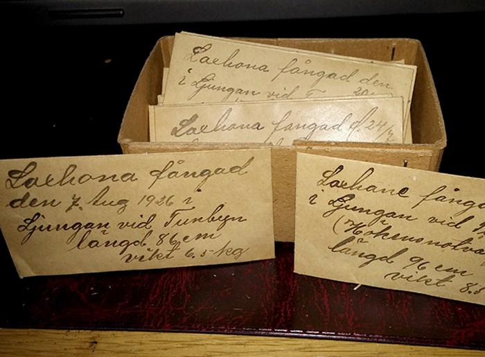Tre kuvert med snirklig handskiven text; laxhona fångad 1920