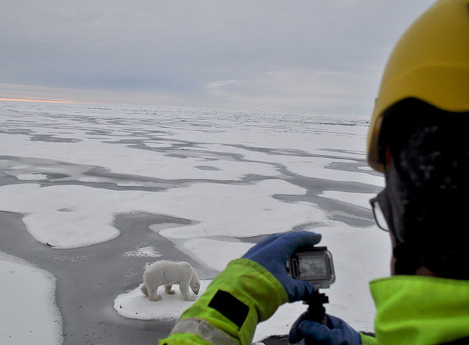Man som fotograferar en isbjön