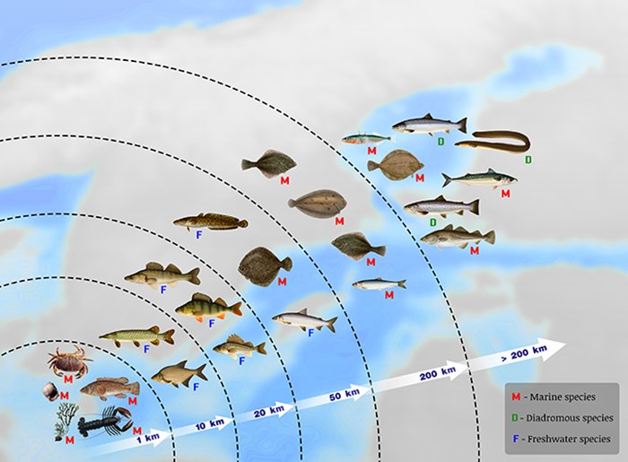 Map showing spiecies
